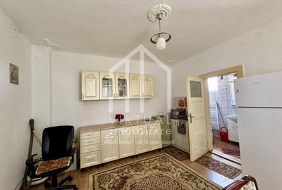Casa individuala, 2 camere, sura 100mp, 290mp teren, Turnisor - 2