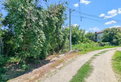 Curte 3200 mp Bolintin Vale, intravilan, intre case - 7