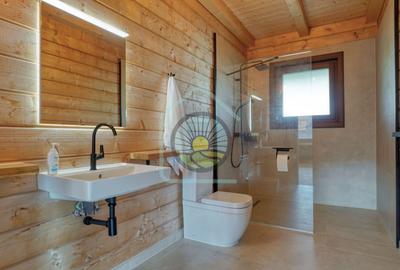 Inchiriere Casa Cristian- Brasov - 13