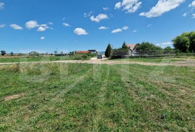 Teren agricol extravilan de 6300 mp, în Hălchiu