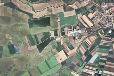 Teren agricol extravilan de 43000 mp, în Feldioara