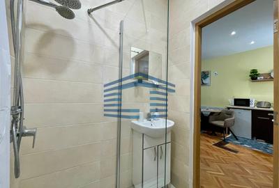 Garsoniera mobilata/utilată -pet friendly - centru istoric- studenti - 5