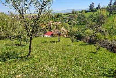Teren deosebit - 1500 mp, Poiana Angelescu, Str. Livezii - 5