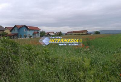 Teren intravilan 8600 mp. Alba Iulia Zona Cetate parcelabil - 2