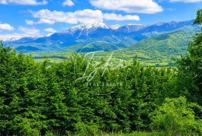 Teren agricol extravilan de 5967 mp, în Tălmaciu