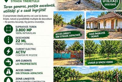 🏡 TEREN INTRAVILAN 3.800 MP – SURAIA, VRANCEA | PRET NEGOCIABIL - 1