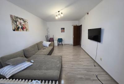 Dristor, 15 minute metrou, Ramnicul Sarat, pe strada Lacramioarei - 4