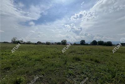 Teren intravilan de 8600 mp cu deschidere la doua drumuri in Cristian - 5