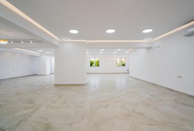 Spațiu comercial – 275 mp Colentina, stradal, vad - Direct Proprietar - 16
