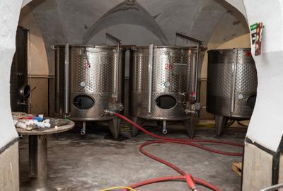 CRAMĂ PREMIUM DE VÂNZARE -60 HA- CONAC ISTORIC- PODGORIA DRĂGĂȘANI - 16