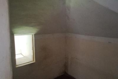 Apartament Interbelic cu Mansarda - Armeneasca - Gradina Icoanei - Universitate - 12