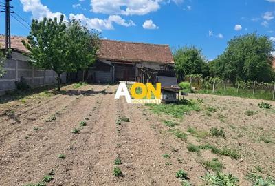Casă traditională, 3 camere, 1766 mp teren, la asfalt, Vintu de Jos - 5