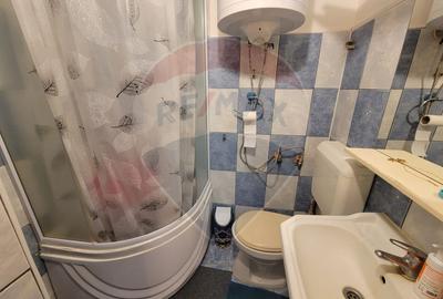 Apartament cu 2 camere de vânzare în zona Chitila - 5