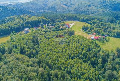 Teren agricol extravilan de 1674 mp, în Poiana Mărului