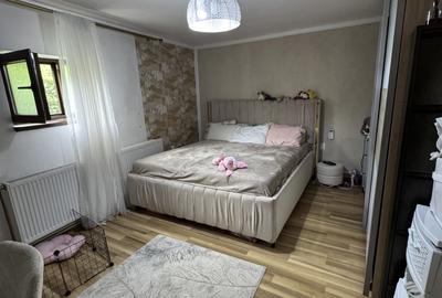 Casa renovata complet in 2024 | Parter + Pod | Buna Vestire - 2