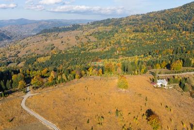 Teren 7.885 mp în Durău – poziție premium, belvedere 360° - 9