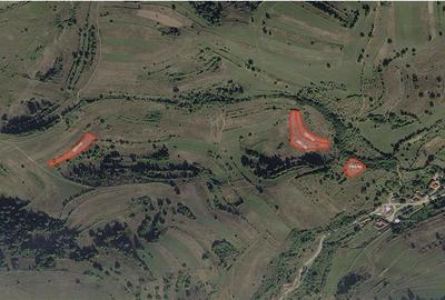 Portofoliu funciar de peste 10 hectare | Izbuc - Carpinet | Jud. Bihor - 7