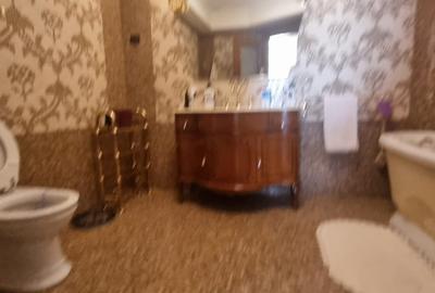 HERASTRAU  NORDULUI  APARTAMENT 3 CAMERE TRANSFORMAT IN 2 CAMERE - 26