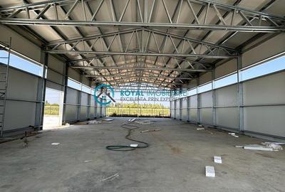 Royal Imobiliare - Inchiriere Hala zona Exterior Nord - 6