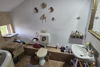 Casă individuală cu SAD, P+M, 2 apartamente, Timișoara, zona Lipovei, comision 0 - 19