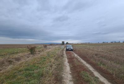 Oază de Natură și Potențial: Teren de 48.100 mp lângă Delta din Carpați - 9