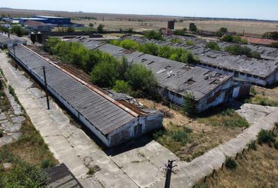 Spațiu industrial -fermă Orțișoara - 13
