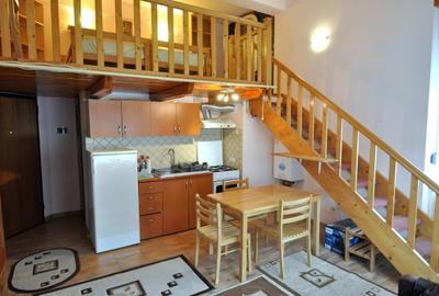 Apartament cu 1 cameră la casa in zona Balcescu - 3
