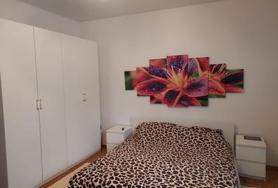 ,3 cam in vila,2 intrari,parter,PARCARE 2 -3 AUTOTURISME, - 21
