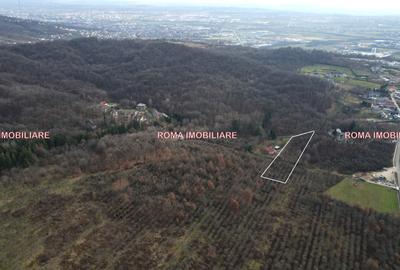 TEREN INTRAVILAN – TĂUȚII-MĂGHERĂUȘ  Lângă Cabana Apa Sărată - 9
