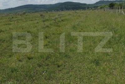 Teren Construcții extravilan de 50000 mp, în Est
