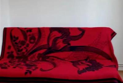 Apartament 2 camere Astra I etaj intermediar - 9