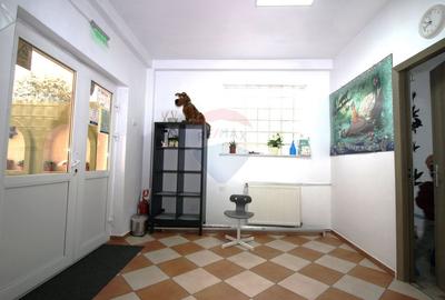 Casa de vanzare P+1+M Drumul Taberei Bucuresti - 15