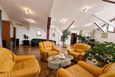 Vila spatioasa, teren generos, Sisesti - 3