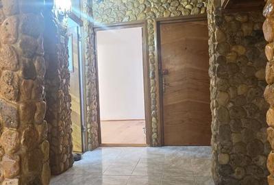 INEL 2 PN-URI 2 CAMERE DECOMANDAT 57 MP. 2 BALCOANE, PARTER, GAZE. - 17