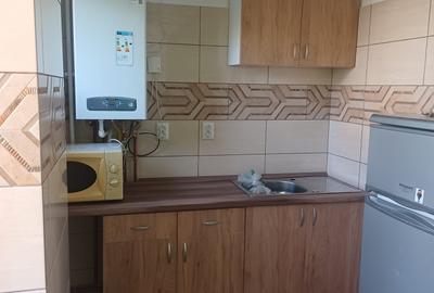 Apartament cu 1 camera in Alexandru cel Bun-Rond Zimbru-Pasaj Octav Bancila - 4