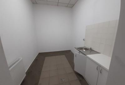 Zona bd. Th. Pallady - hala si birouri 550mp - 11