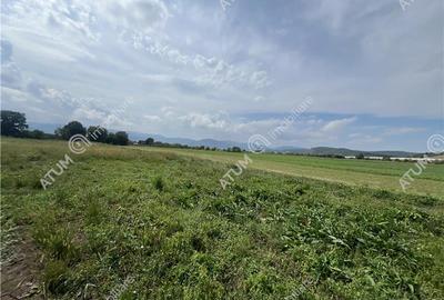 Teren intravilan de 8600 mp cu deschidere la doua drumuri in Cristian - 4