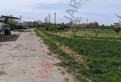Teren extravilan de 950000000 mp, în Cerneteaz