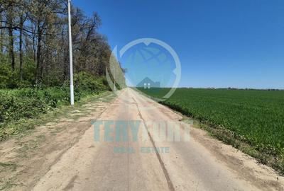 Teren intravilan- hale depozitare, industrie , servicii, comert- A 0 -  Afumați - 13