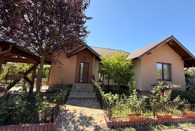 VANZARE CASA INDIVIDUALA COMPLEX TERRA/110MP UTILI/TEREN 550MP/ BALOTESTI - 34