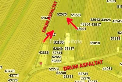 Teren extravilan arabil | Intrare in Pielesti | Zona Peugeot - 2