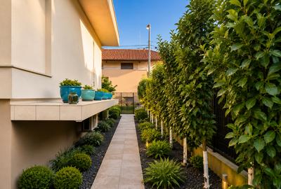 Casa Individuala | Zona Braytim - Soarelui | 273mp | 4 Dormitoare | Garaj - 42