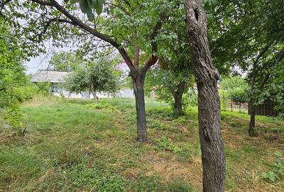 Casa  de vânzare cu teren 9200 mp, Pădureni-Șendriceni, Botoșani - 14