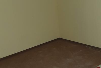 Spatiu stradal Bucurestii Noi Parc Bazilescu - 5