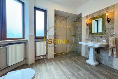 5 camere | Piata Romana | 250 mp | Terasa | Boxa demisol - 18