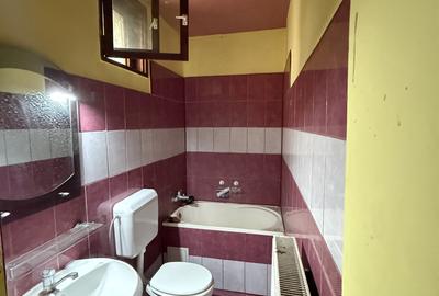 Apartament la curte comuna, 2 camere, 48 mp utili si teren comun 550 mp - Mehala - 6