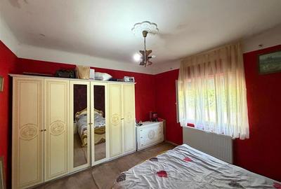 CASA PLAN PARTER | TEREN 620 MP | ACCES AUTO | ZONA SANTAUL MARE | BIHOR - 10