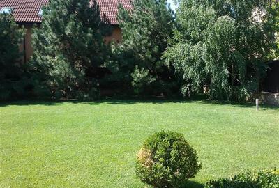 IANCU NICOLAE, S+P+1, 6 CAMERE, 410 MP, PISCINA, CURTE SUPERBA! - 29