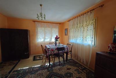 Casa si Teren Criscior - 9