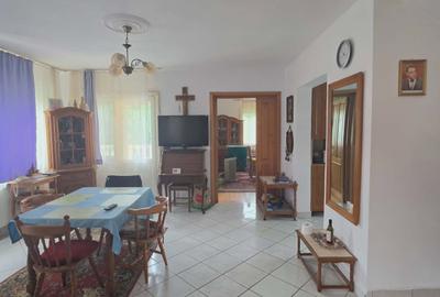 Casă cu teren 3.000 mp de vânzare, str. Adevărului-CV0529 - 1
